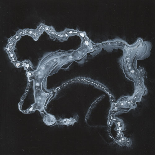 w-06-04